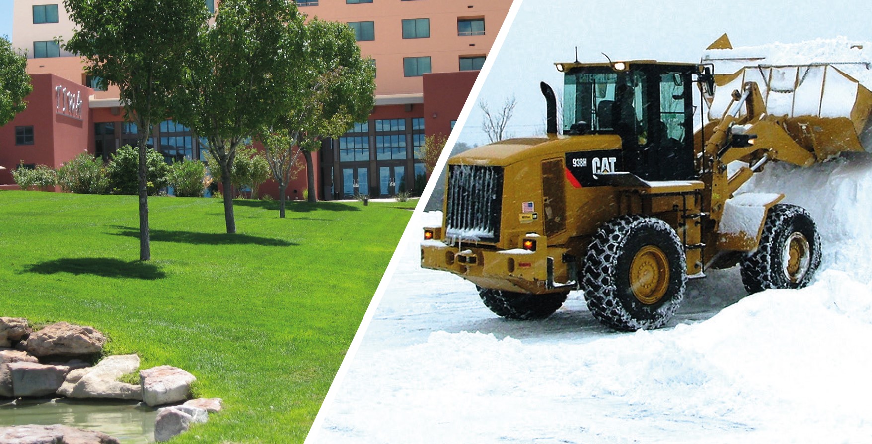 Olio Group - Managed Services Done Right